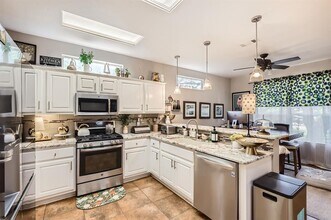 104 Elderberry Cove in Georgetown, TX - Building Photo - Building Photo