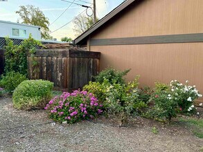 10191 Yoshino Pl in Cupertino, CA - Building Photo - Building Photo