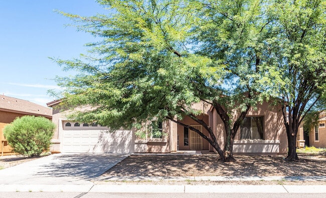 8230 W Calle Sancho Panza in Tucson, AZ - Building Photo - Building Photo