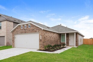 10819 Bird Of Paradise Ln in Houston, TX - Building Photo
