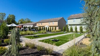 The Row Apartments in Columbia, MO - Building Photo