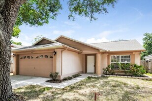 6013 Crickethollow Dr in Riverview, FL - Building Photo