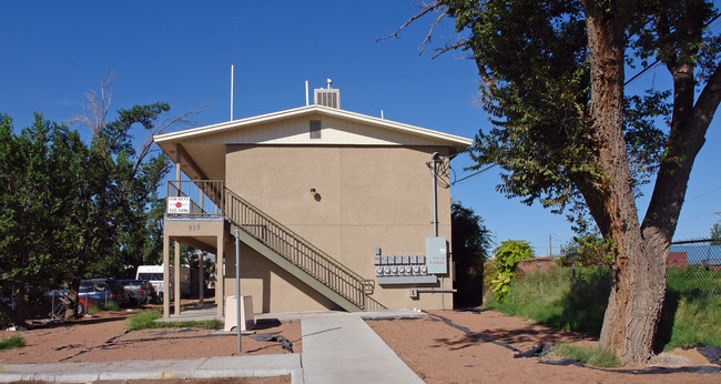 513 S Piedras St in El Paso, TX - Foto de edificio - Building Photo