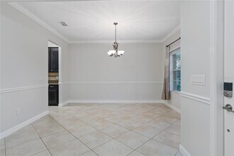 19342 Paddock View Dr in Tampa, FL - Building Photo - Building Photo