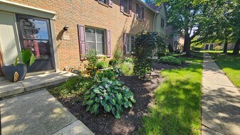 5305 Berrywood Dr in Columbus, OH - Building Photo