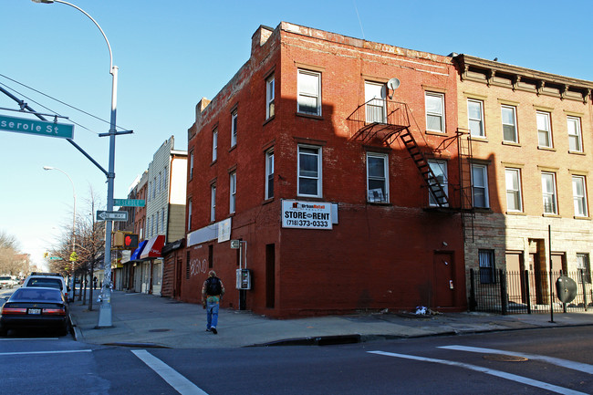 151 Meserole St in Brooklyn, NY - Building Photo - Building Photo