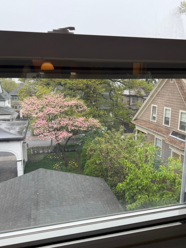10 Commonwealth Ct, Unit 16 in Boston, MA - Building Photo - Building Photo
