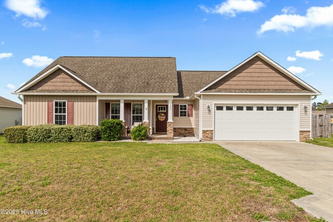 property at 205 Long Neck Dr