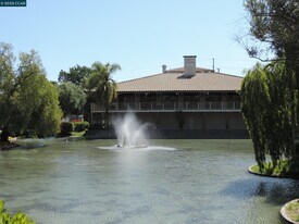 310 N Civic Dr in Walnut Creek, CA - Building Photo