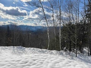 62 Juniper Way in Jackson, NH - Building Photo - Building Photo