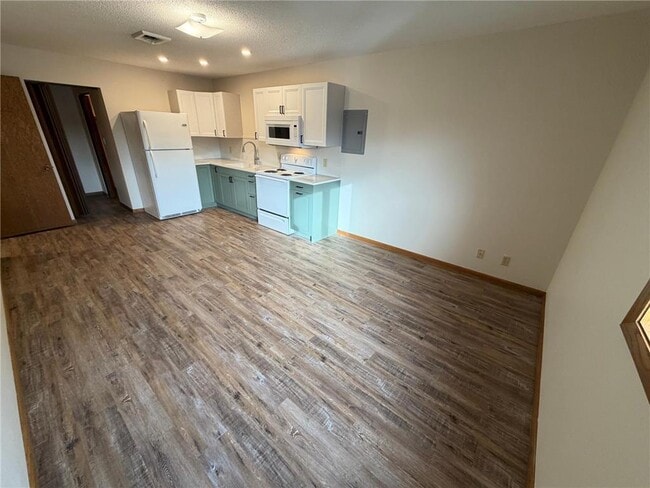 314 5th St SW in Willmar, MN - Building Photo - Building Photo