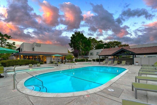 Park West Village Apartments