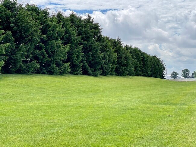 Dover Glen in Wauseon, OH - Building Photo - Building Photo