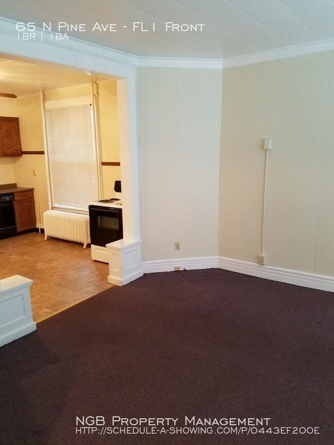 65 N Pine Ave in Albany, NY - Building Photo - Building Photo