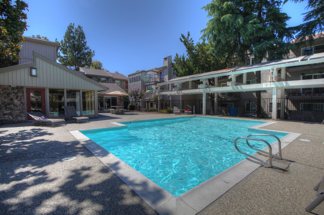 Stonegate Village Apartments in Davis, CA - Building Photo