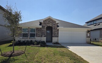 31111 Winchester Fls Ct in Fulshear, TX - Building Photo