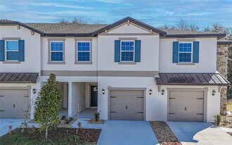 10116 Trumpet Honeysuckle Wy in Wesley Chapel, FL - Building Photo