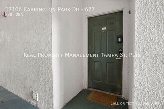 17106 Carrington Park Dr in Tampa, FL - Building Photo - Building Photo
