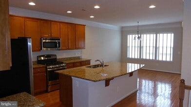 44016 Etna Terrace in Chantilly, VA - Building Photo - Building Photo