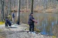 Apartments in Whippany, NJ