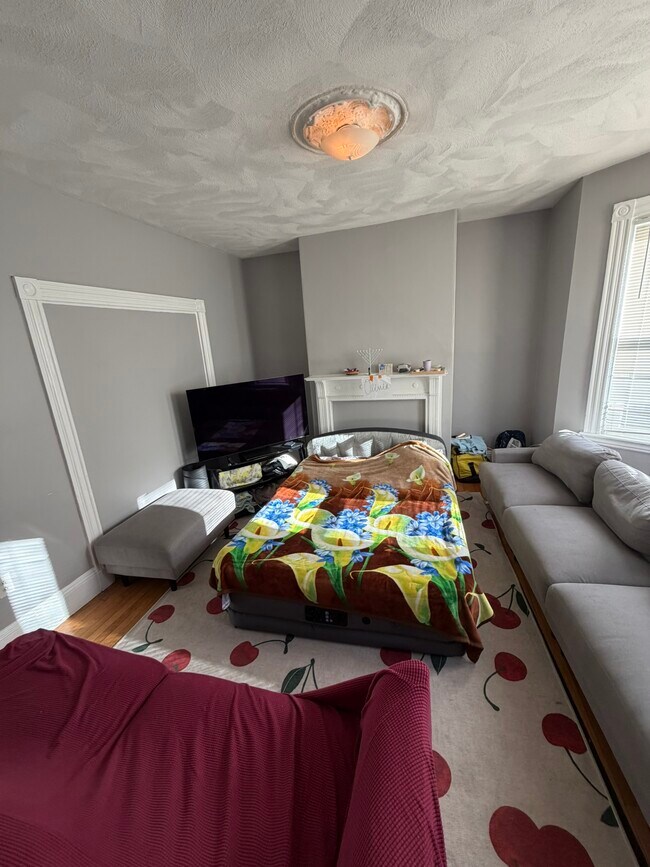 123 Hillside St, Unit 2 in Boston, MA - Building Photo - Building Photo