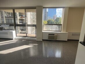 1360 N Sandburg Terrace in Chicago, IL - Building Photo - Building Photo