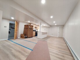 215 St Paul St in Brookline, MA - Building Photo