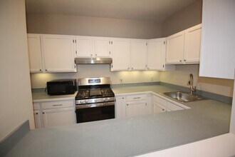 11 Worcester St, Unit 2 in Boston, MA - Building Photo - Building Photo