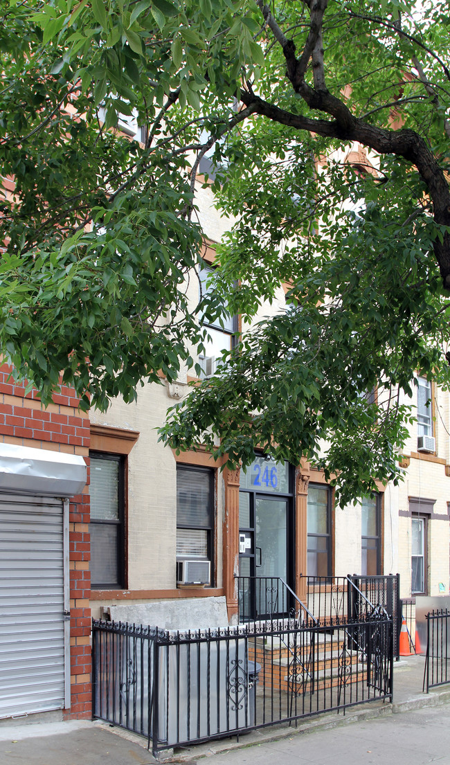 246 51st St in Brooklyn, NY - Foto de edificio - Building Photo