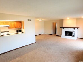 1013 E Jackson St in Morton, IL - Building Photo - Building Photo