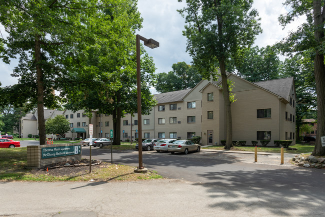 Theresa Maxis Apartments in Detroit, MI - Building Photo - Building Photo