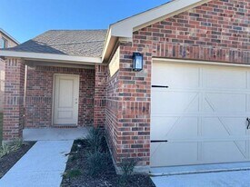 205 Bable Run Dr in Little Elm, TX - Building Photo