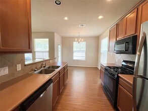 13604 Oystercatcher Dr in Austin, TX - Building Photo - Building Photo