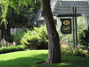 The Camille Apartments in Mountain View, CA - Foto de edificio - Building Photo