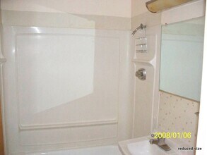 203 Monroe St, Unit #1 in Saline, MI - Building Photo - Building Photo