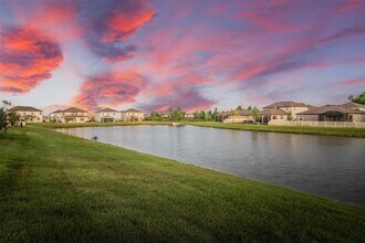 30950 Parrot Reef Ct in Wesley Chapel, FL - Building Photo - Building Photo
