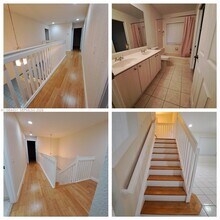 1689 Winterberry Ln in Weston, FL - Building Photo - Building Photo