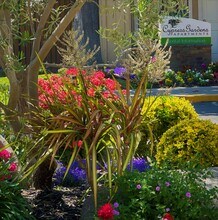 CYPRESS GARDENS APARTMENTS in Modesto, CA - Foto de edificio - Building Photo