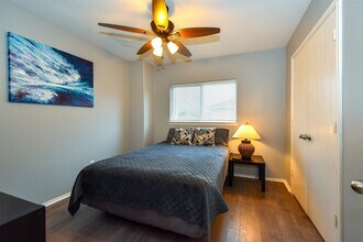 11007 Shumard Oak Ct in Houston, TX - Building Photo - Building Photo