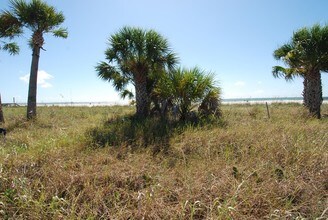 526 Corey Ave in St Pete Beach, FL - Building Photo - Building Photo