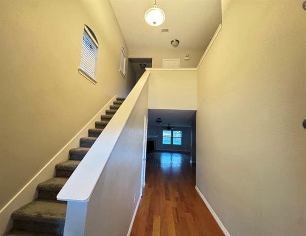 10608 Colfax Dr in McKinney, TX - Building Photo - Building Photo