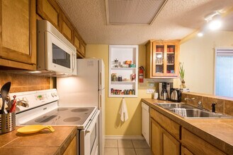 2204 Trailside Dr in Austin, TX - Building Photo - Building Photo