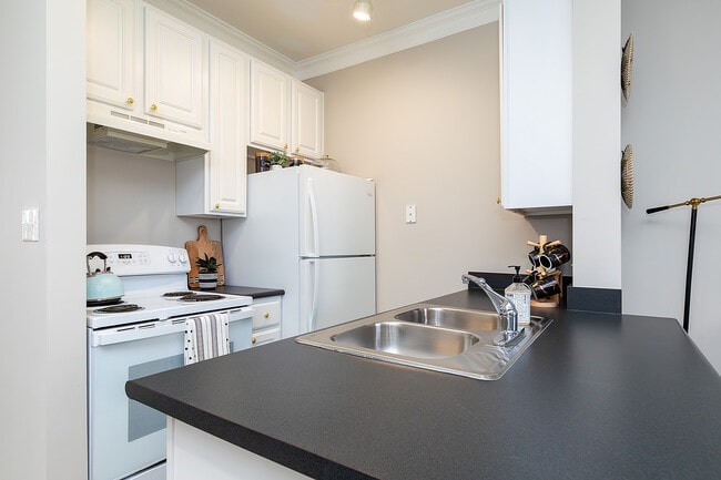 The Lakes Of Olentangy