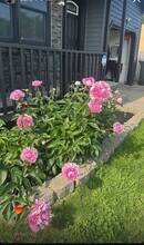 941 Moyer Ave in Youngstown, OH - Building Photo - Building Photo