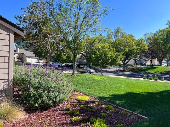 15094 Yosemite Way in Morgan Hill, CA - Building Photo - Building Photo