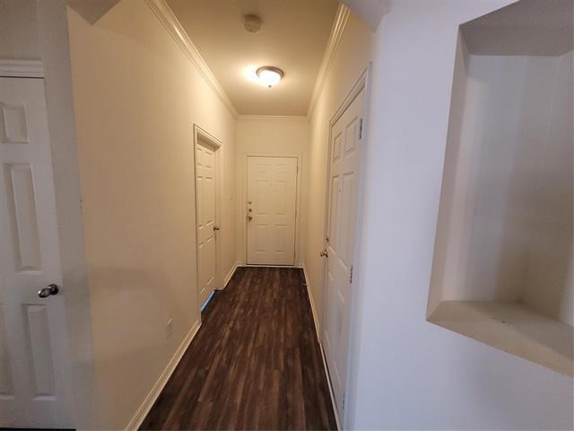 256 Wyndham Meadows Way in Wylie, TX - Building Photo - Building Photo