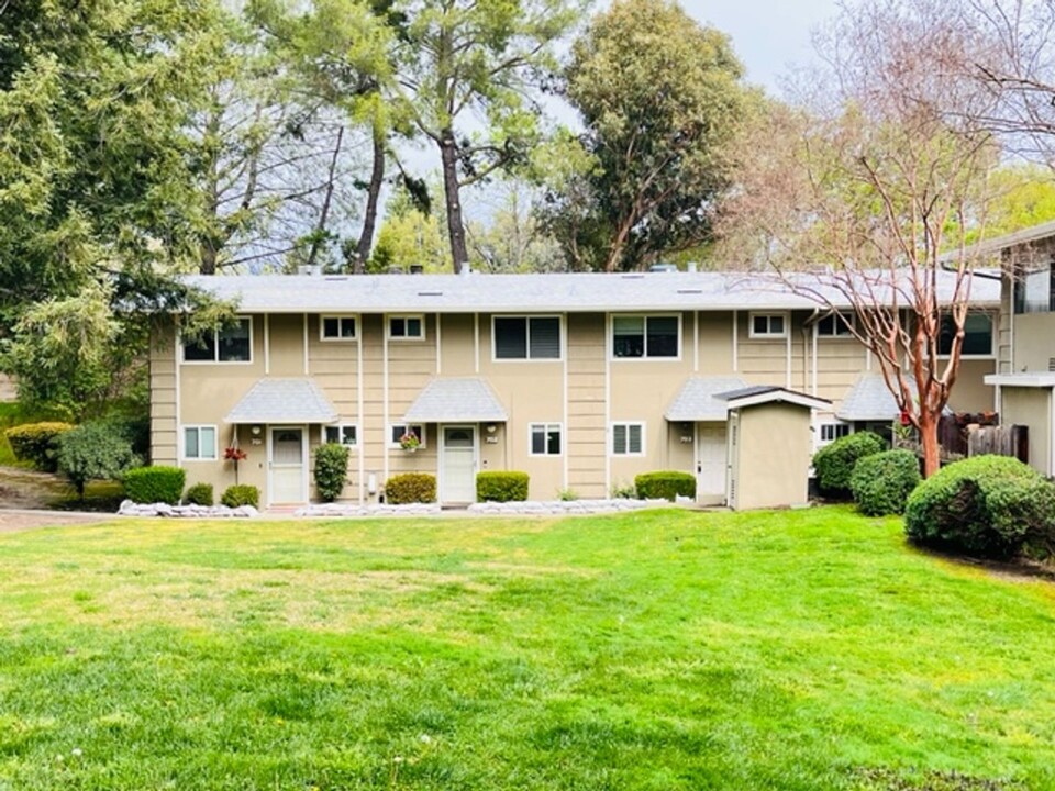 394 Ilo Ln in Danville, CA - Building Photo