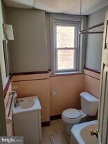 151 W Ruscomb St in Philadelphia, PA - Building Photo