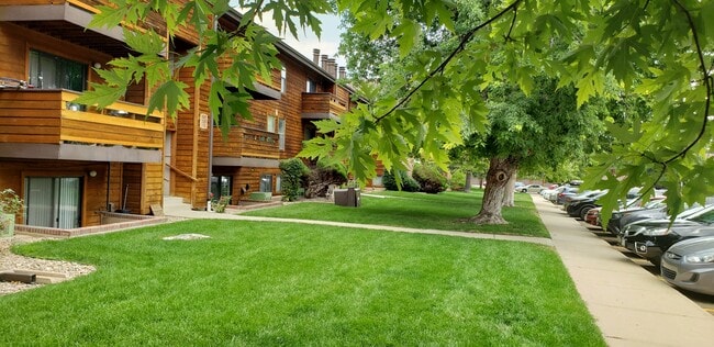 property at 429 Wright St