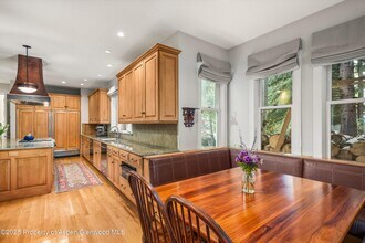 431 W Hopkins Ave in Aspen, CO - Building Photo - Building Photo